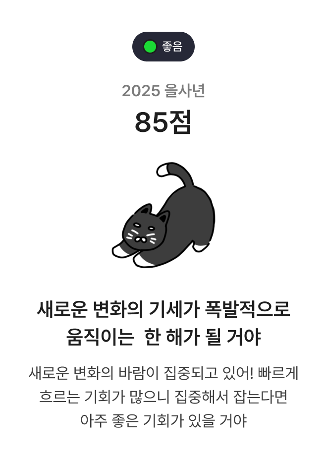 2025 신년운세