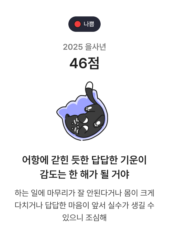 2025 신년운세