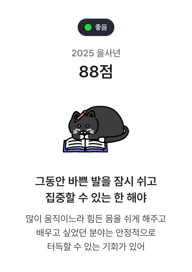 2025 신년운세